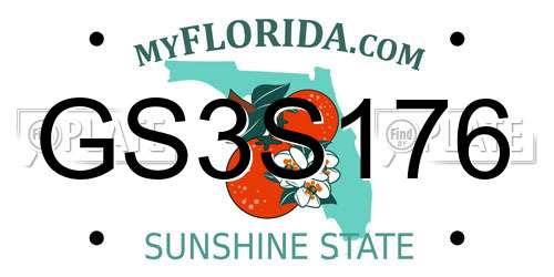 GS3S176 Florida License Plate