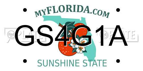 GS4G1A Florida License Plate