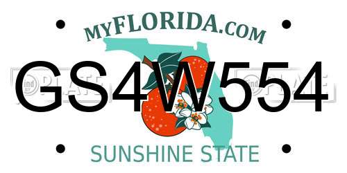 GS4W554 Florida License Plate