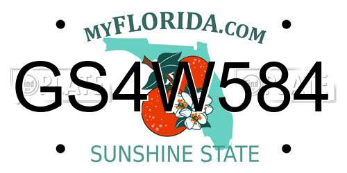 GS4W584 Florida License Plate