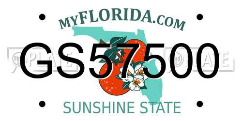 GS57500 Florida License Plate