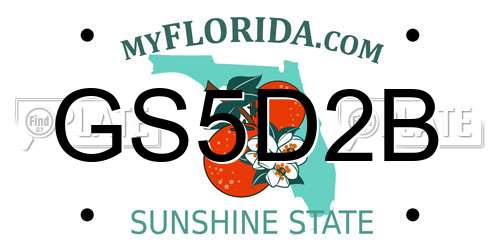 GS5D2B Florida License Plate