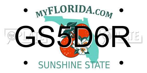 GS5D6R Florida License Plate