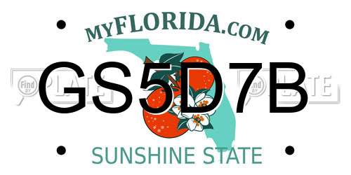 GS5D7B Florida License Plate