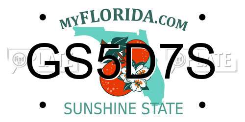 GS5D7S Florida License Plate