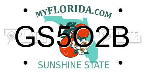 GS5O2B Florida License Plate