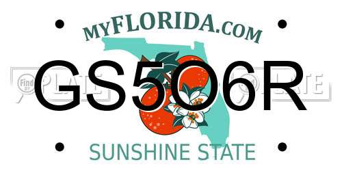 GS5O6R Florida License Plate