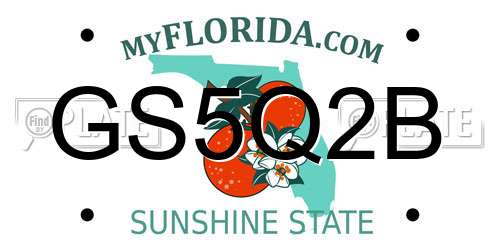 GS5Q2B Florida License Plate