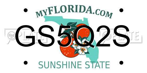 GS5Q2S Florida License Plate