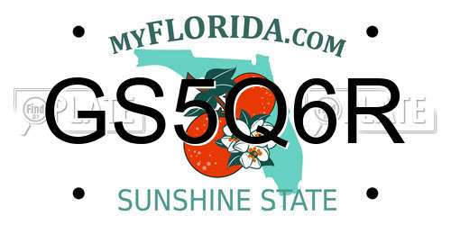 GS5Q6R Florida License Plate