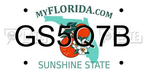 GS5Q7B Florida License Plate