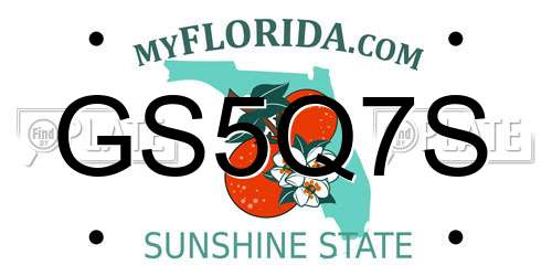 GS5Q7S Florida License Plate