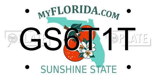 GS6T1T Florida License Plate