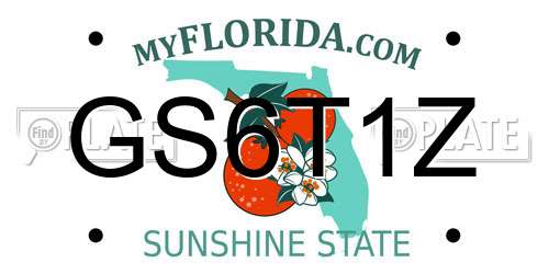 GS6T1Z Florida License Plate