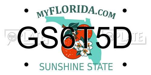 GS6T5D Florida License Plate
