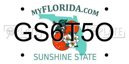 GS6T5O Florida License Plate