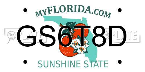 GS6T8D Florida License Plate