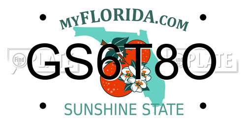 GS6T8O Florida License Plate