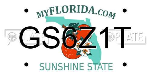 GS6Z1T Florida License Plate
