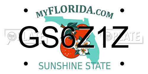 GS6Z1Z Florida License Plate