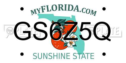 GS6Z5Q Florida License Plate