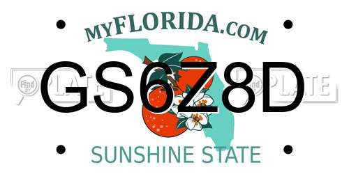 GS6Z8D Florida License Plate