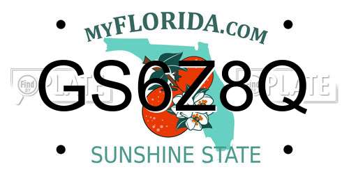 GS6Z8Q Florida License Plate