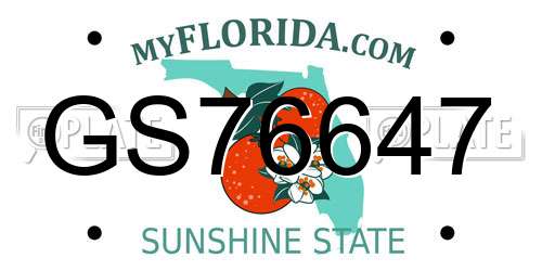 GS76647 Florida License Plate