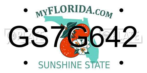 GS7G642 Florida License Plate