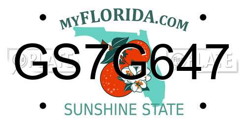 GS7G647 Florida License Plate