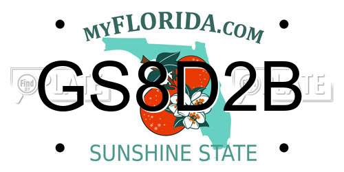 GS8D2B Florida License Plate