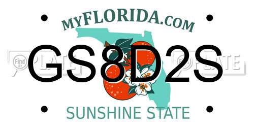 GS8D2S Florida License Plate