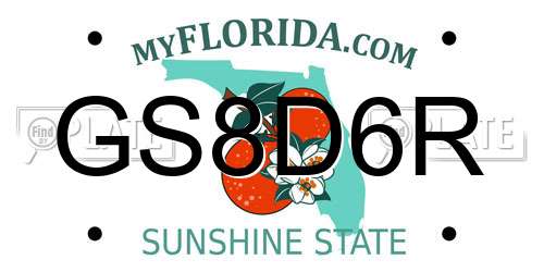 GS8D6R Florida License Plate