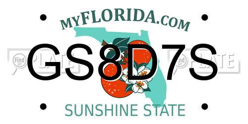 GS8D7S Florida License Plate