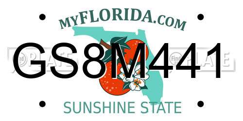 GS8M441 Florida License Plate