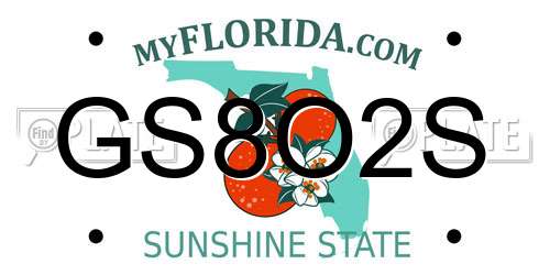 GS8O2S Florida License Plate