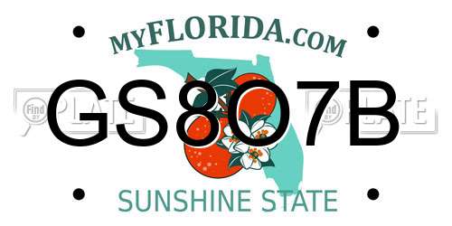 GS8O7B Florida License Plate