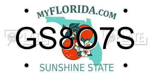 GS8O7S Florida License Plate