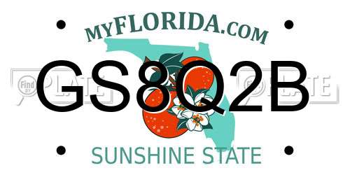 GS8Q2B Florida License Plate