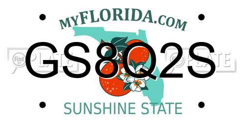 GS8Q2S Florida License Plate