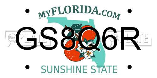 GS8Q6R Florida License Plate