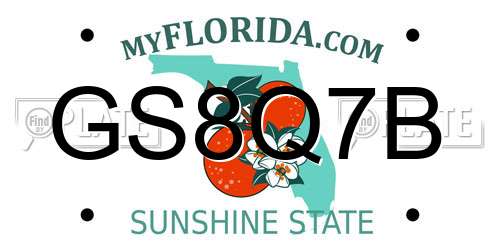 GS8Q7B Florida License Plate