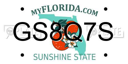 GS8Q7S Florida License Plate