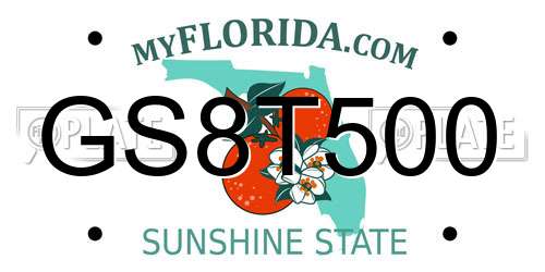 GS8T500 Florida License Plate