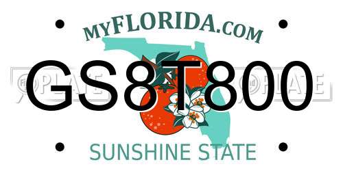GS8T800 Florida License Plate