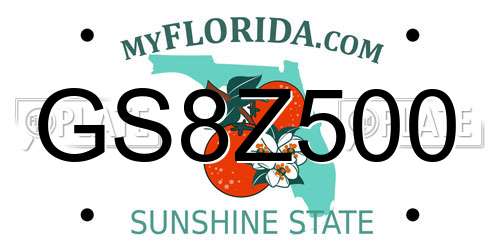 GS8Z500 Florida License Plate