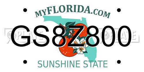 GS8Z800 Florida License Plate