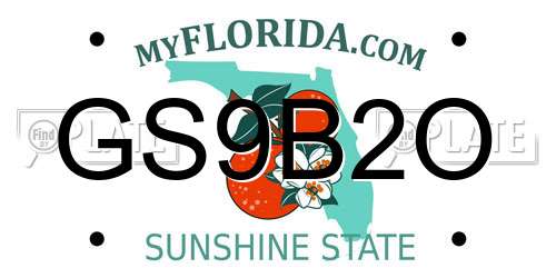 GS9B2O Florida License Plate