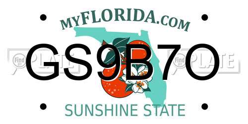 GS9B7O Florida License Plate