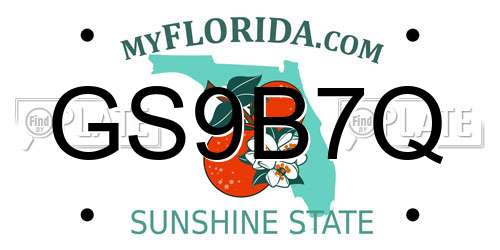 GS9B7Q Florida License Plate